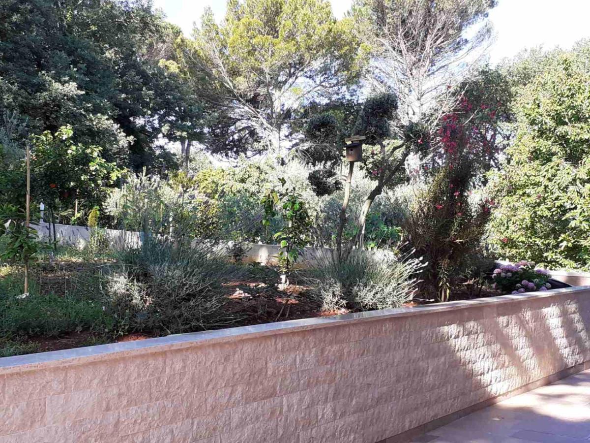 Apartments Marina-Mare Poreč Extérieur photo